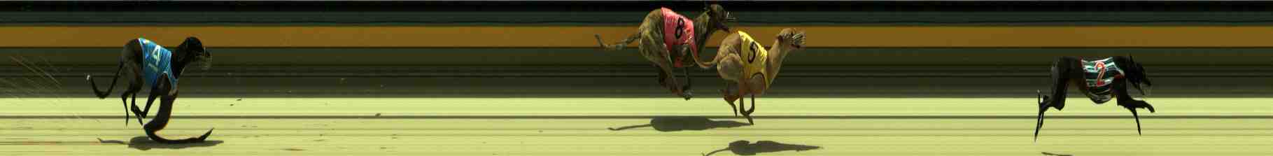 Race result finish photo